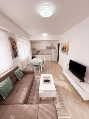 MINT Apartment